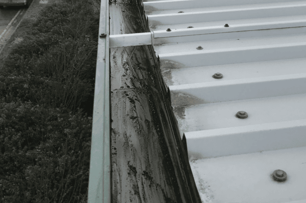 Commercial gutter cleaning specialists in Bordon